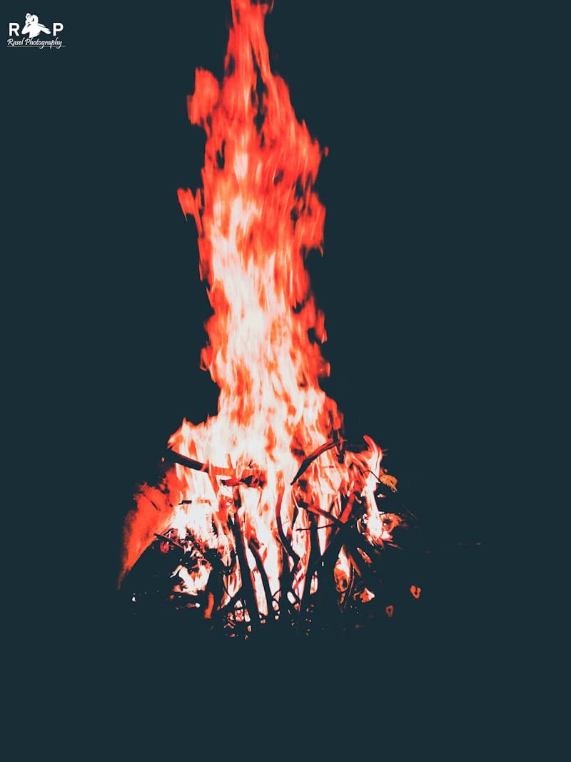 تصوير الإبل والمزادات باحترافية